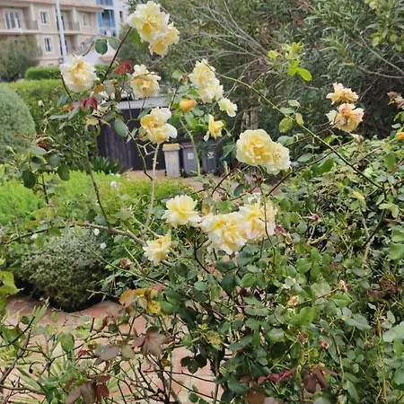 Holiday home Margueritte